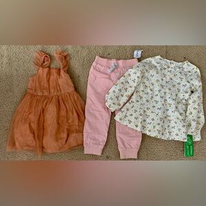 Toddler girl clothes bundle